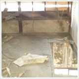東の和室　畳を撤去し床をめくる作業